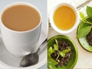 10 Reasons you must Drink Green Tea..!