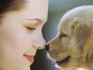 Pet care