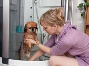 Pet care