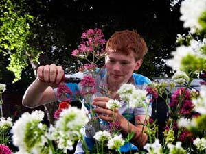 Green Gardening Green Gardening