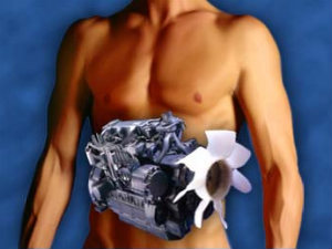 Things you must Know about Metabolism Things you must Know about Metabolism