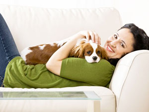 How to take Care of Your Pet...