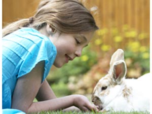 Rabbits rearing as Pets