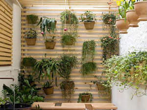 Contemporary and Cool Vertical Garden