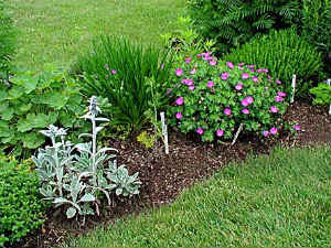 Health Benefits of Indoor Herb Gardening