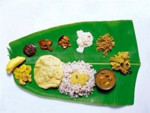 Diet Not for Hunger...For Health Too!