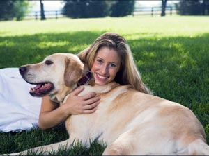 Benefits Of Neem Oil For Dogs.