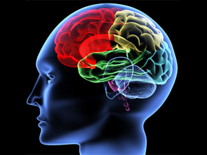 Our Habits that Damage the Brain!