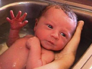 What Your Newborn Looks Like!
