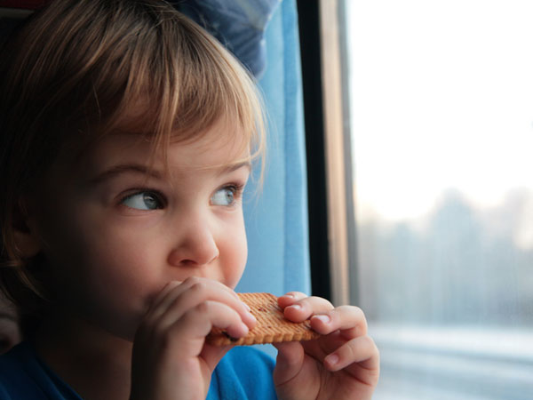 foods carry while travelling foods carry while travelling