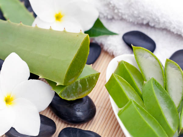 Use Of Aloe Vera For Hair Car