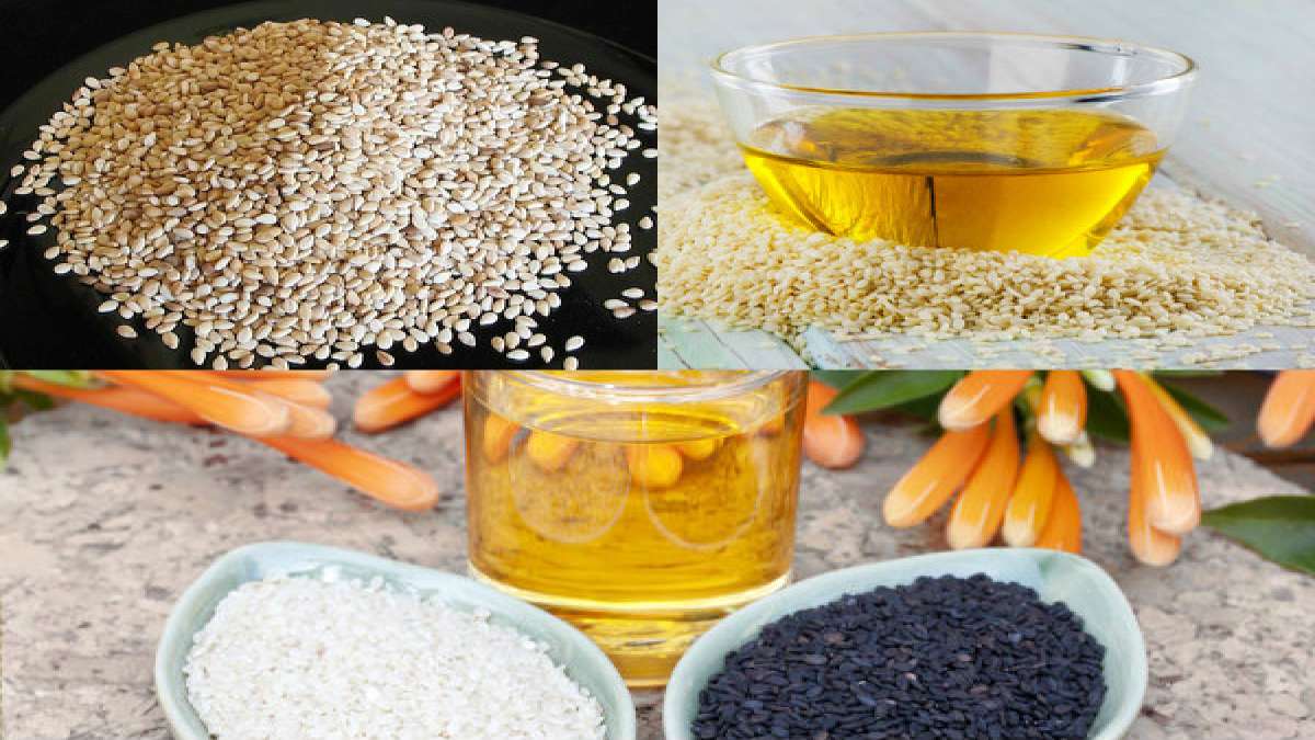 నువ్వుల నూనెలో దాగున్న అమేజింగ్ హెయిర్ బెనిఫిట్స్ Top 12 Amazing