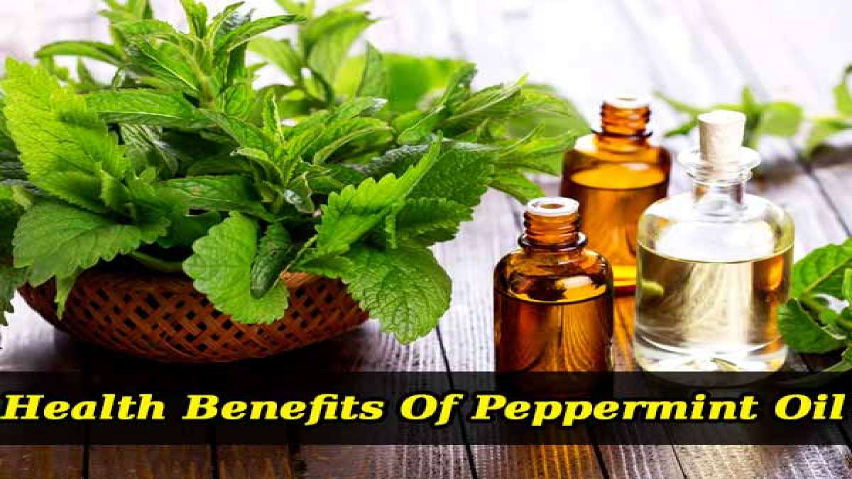 మింట్ ఆయిల్ లో దాగి ఉన్న అమేజింగ్ హెల్త్ బెనిఫిట్స్ 8 Amazing