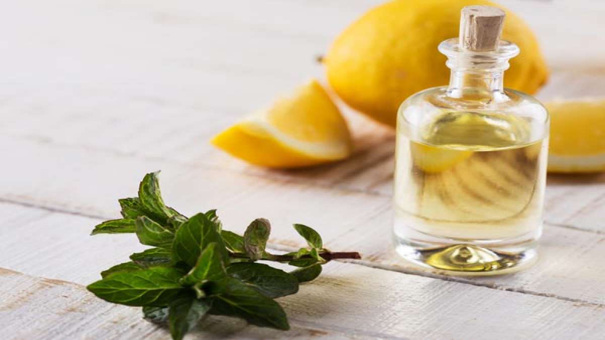 కేనోలా ఆయిల్ వలన కలిగే 8 ఆరోగ్య ప్రయోజనాలు 8 Health Benefits Of