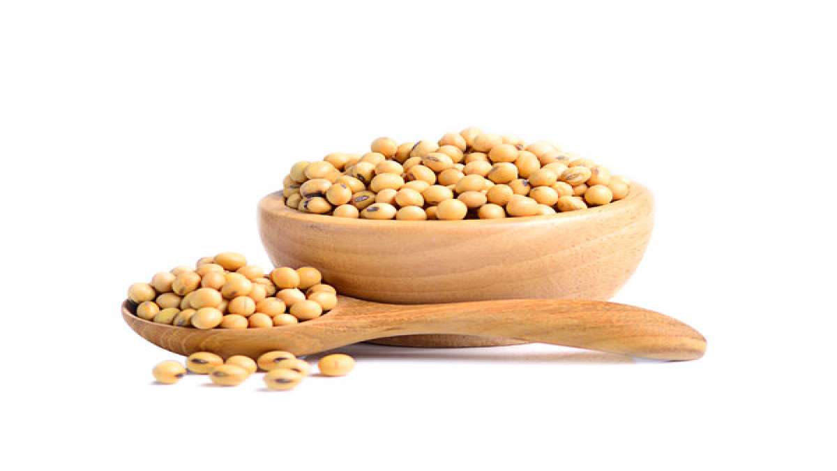 Soya Myths సోయాతో సంతానలేమి, రొమ్ము క్యాన్సర్.. అపోహలేనంటున్న వైద్యులు