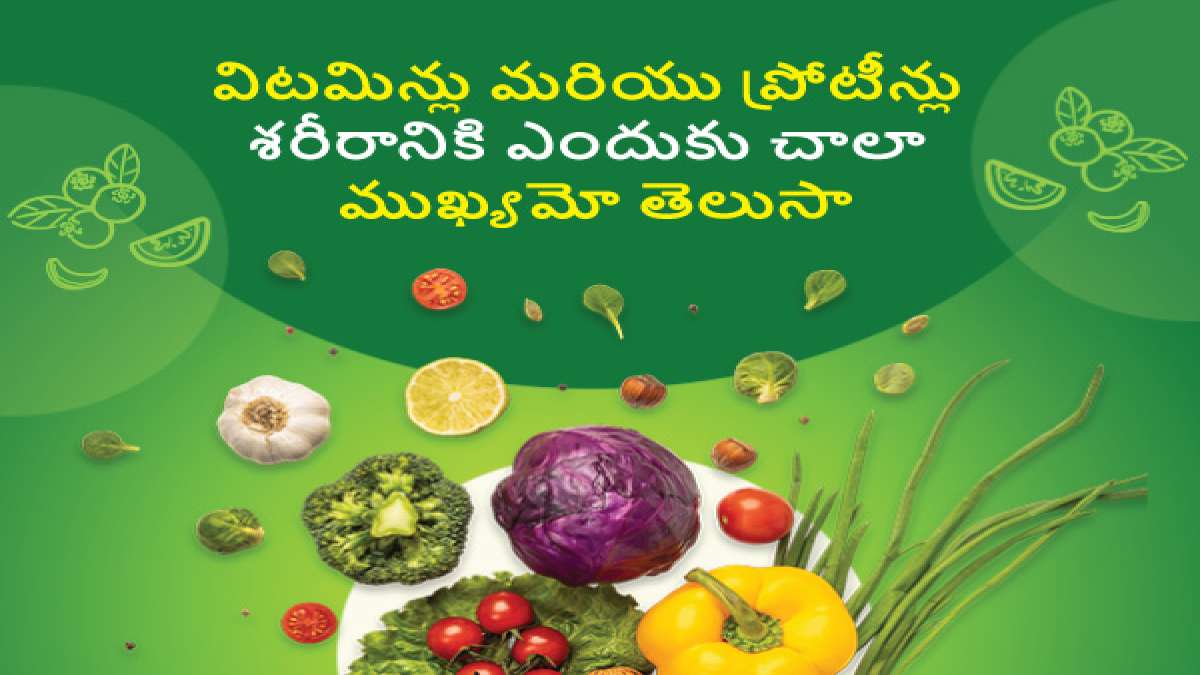 National Nutrition Week 2022 విటమిన్లు మరియు ప్రోటీన్లు శరీరానికి