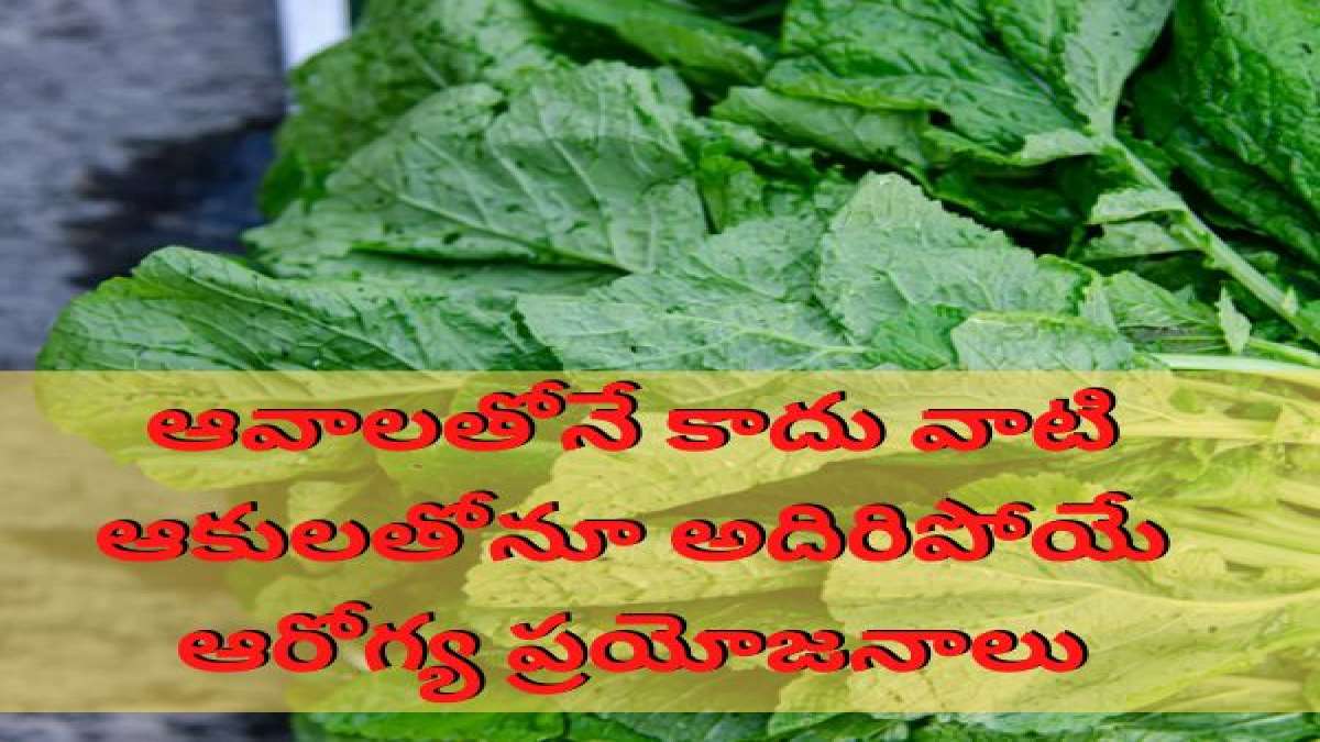 ఆవాలతోనే కాదు వాటి ఆకులతోనూ అదిరిపోయే ఆరోగ్య ప్రయోజనాలు Health