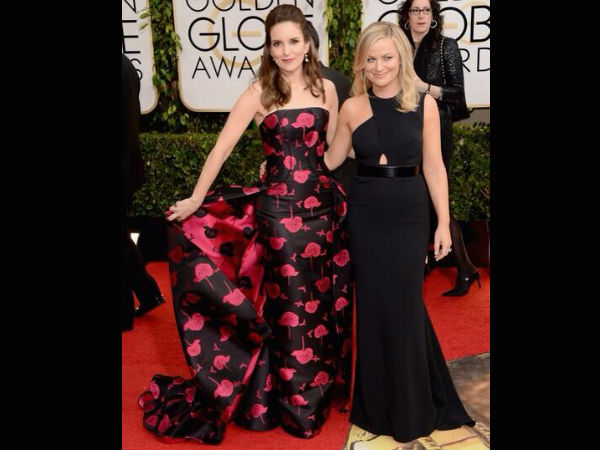 టినా ఫే మరియు ఆమీ ఫీలర్: 