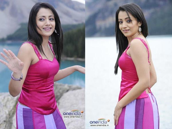త్రిష ని ఇంత హాట్ గా ఎప్పుడైనా చూశారా..?