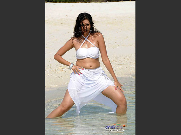 హంసానందిని : 