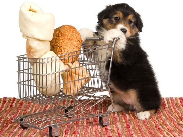 Tips On How Clean Your Home If You Have Pets 010164