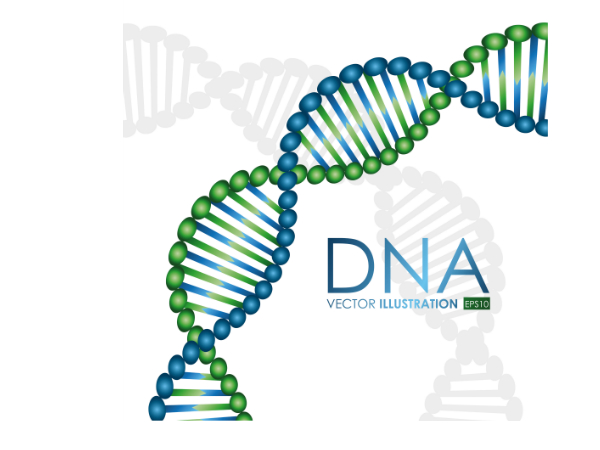 సెల్ రహిత DNA పరీక్ష