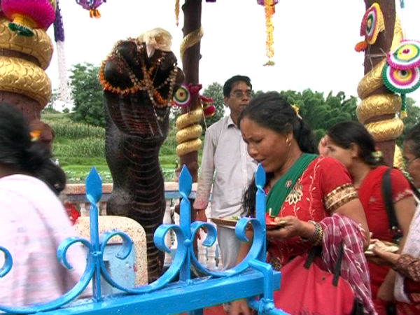 నాగపంచమి విశిష్టత