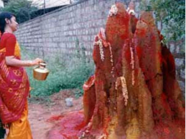 పూజావిధానం: