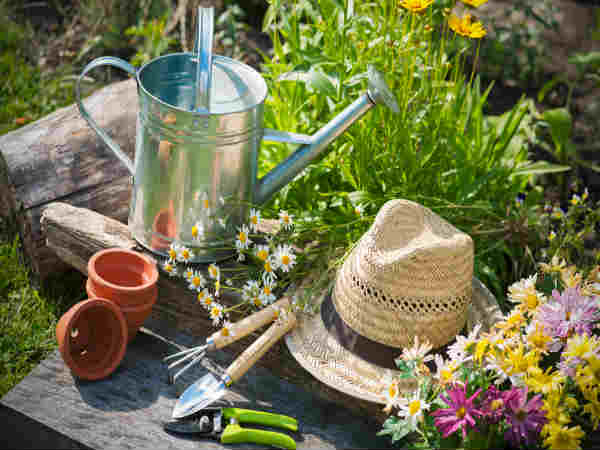 Weird Gardening Tips That You Never Knew Gardening Telugu