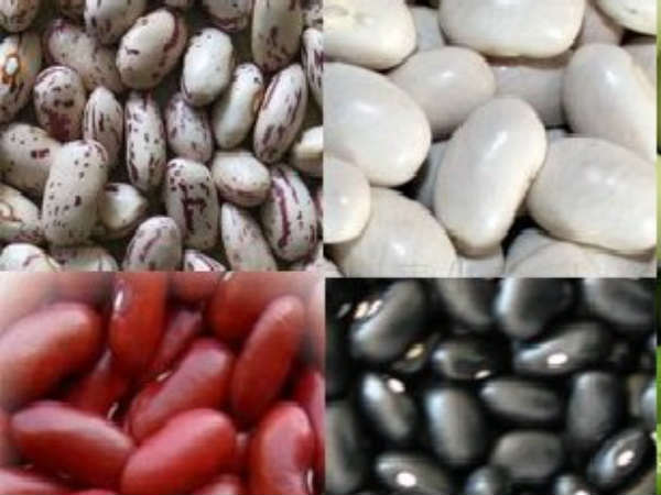 బీన్స్