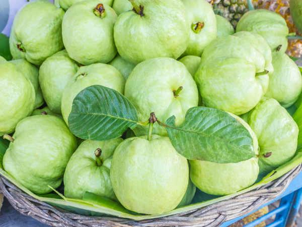 కాలేయం మరియు మూత్రపిండాల పనితీరును మెరుగుపరచడం