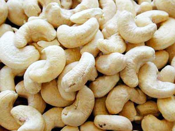Surprizing Benefits Kaju Or Cashew Nuts