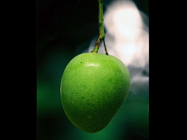 బరువు తగ్గడానికి