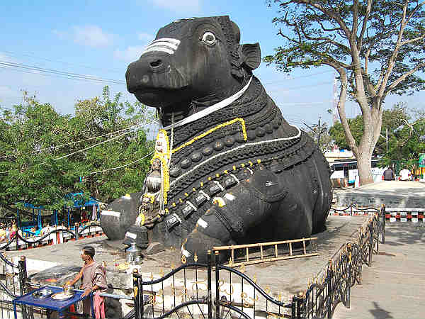 శివదర్శనాన్ని నంది కొమ్ముల మధ్య నుంచి చేసుకోవాలి.. ఎందుకని?