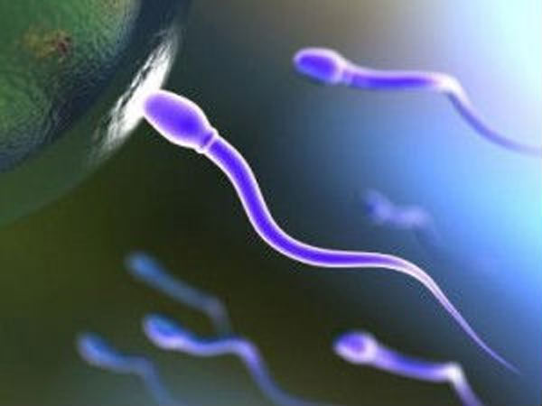 వ్యాధుల నుండి స్పెర్మ్ ను రక్షించడం