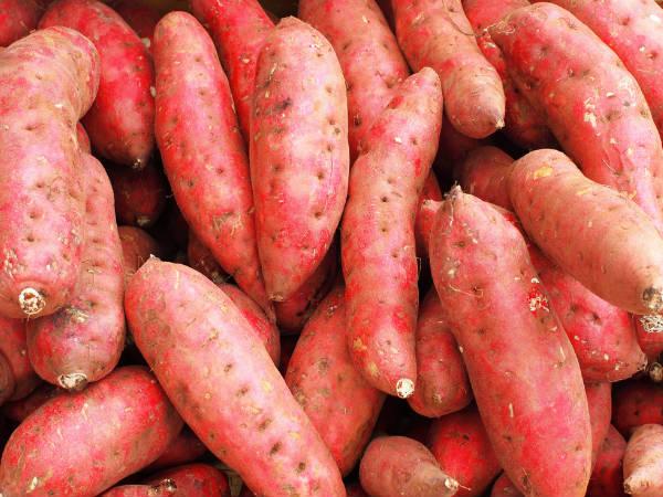 స్వీట్ పొటాటో :