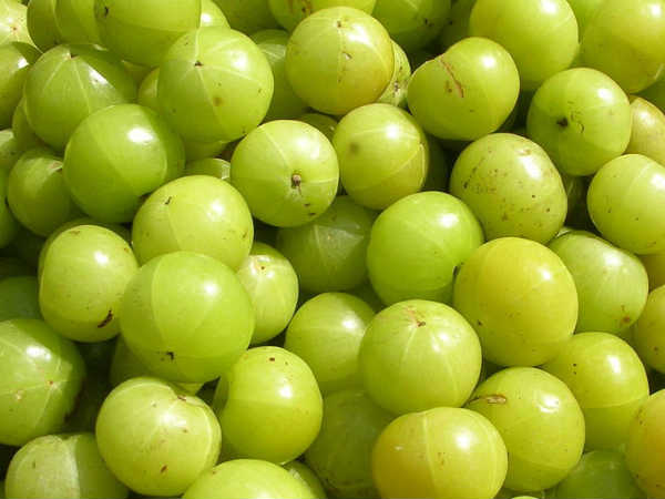 ఉసిరి నూనె