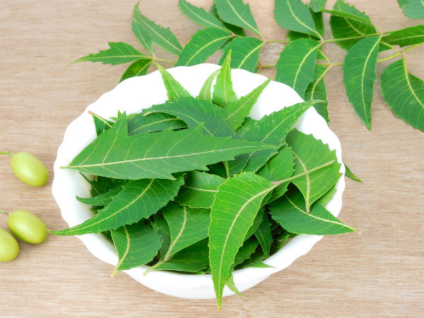 6. వేప: