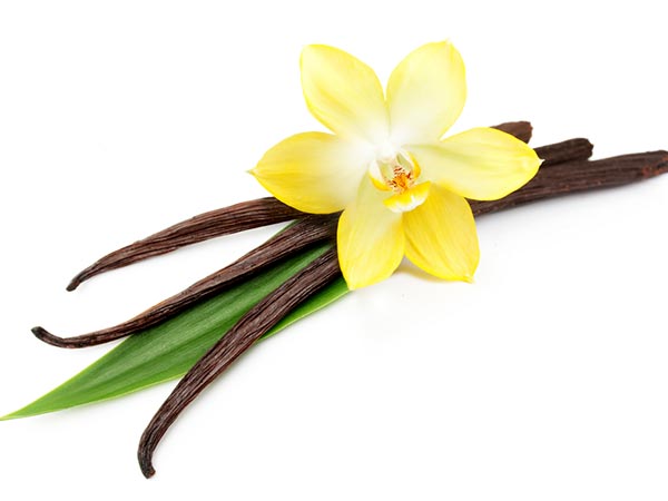 వెనిలా :