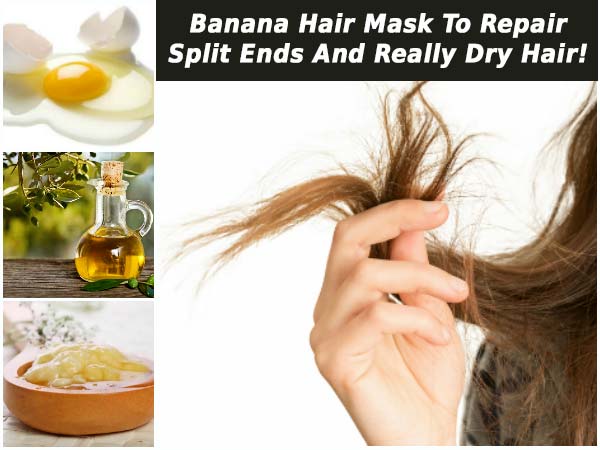 à°¡ à°° à°¹ à°¯ à°° à°š à°Ÿ à°² à°¨ à°œ à°Ÿ à°Ÿ à°¨ à°¨ à°µ à°° à°š à°¸ à°ªà°° à°¸ à°² à°• à°— à°® à°° à°š à°¬à°¨ à°¨ à°¹ à°¯ à°° à°® à°¸ à°• Banana Hair Mask To Repair Split Ends Really Dry Hair Telugu Boldsky banana hair mask to repair split ends