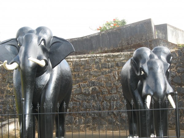 ఏనుగు