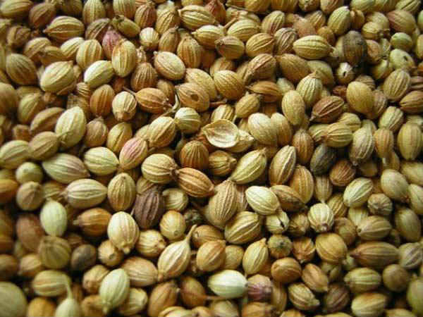 4. ధనియాలు: