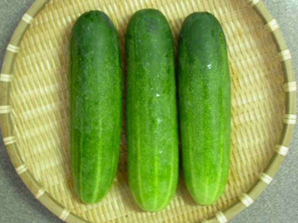 పెరుగు , కీరదోసకాయ