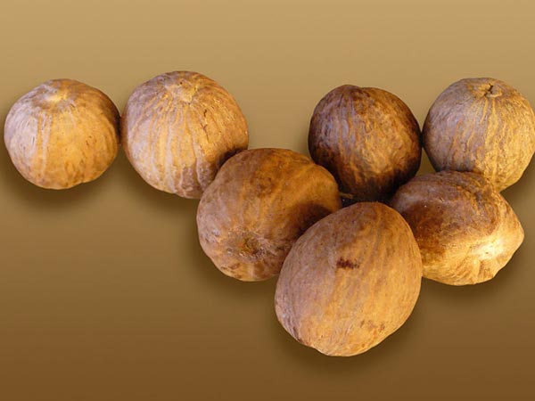 నట్ మగ్ :