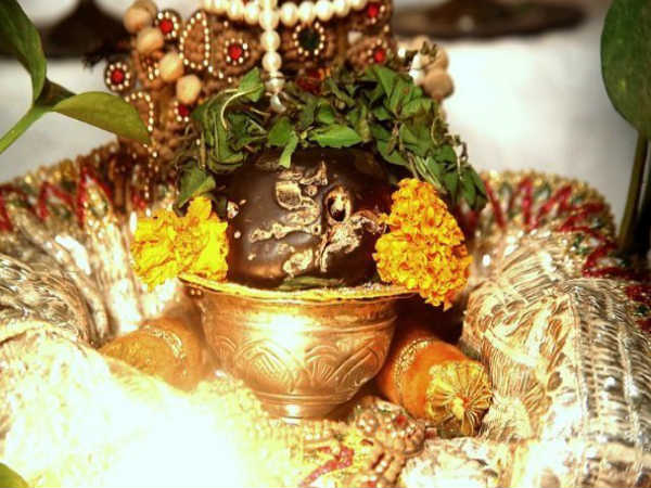 సాలిగ్రామం: