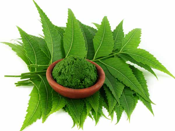 11. వేప: