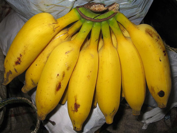 8. అరటి :