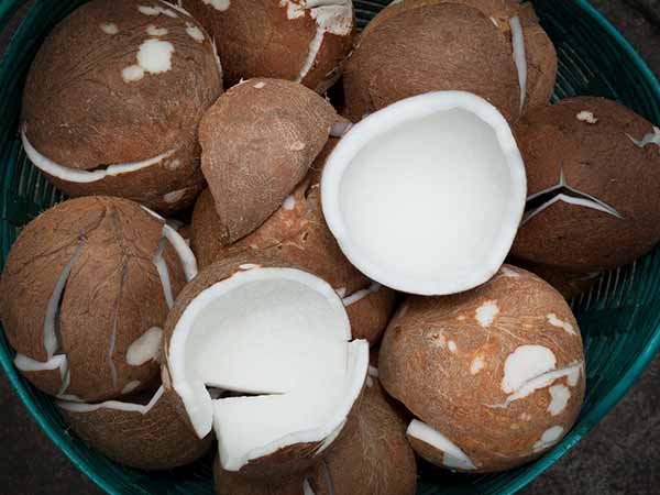 3.అమినోయాసిడ్స్ ఎక్కువ: