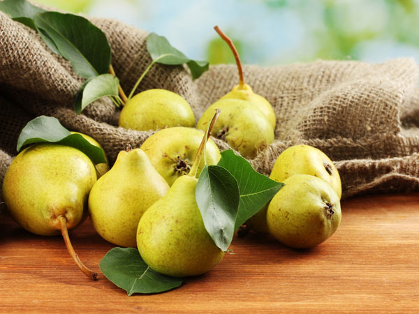 1. ఫైబర్ అధికంగా ఉంటుంది :