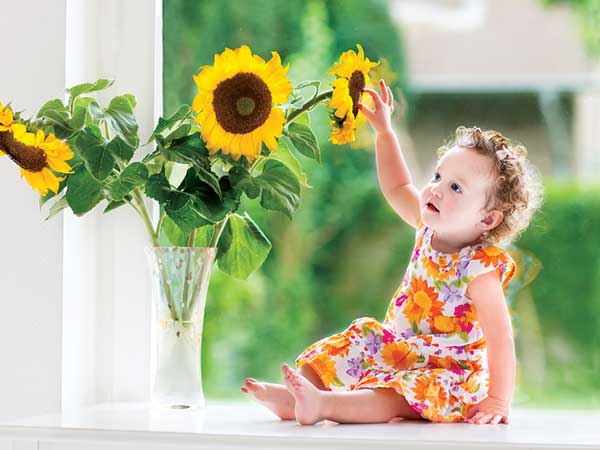 మొక్కల విత్తనాలు